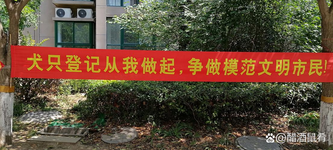 信邦实业